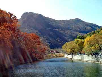 广水养鸽，三菱翼神油耗